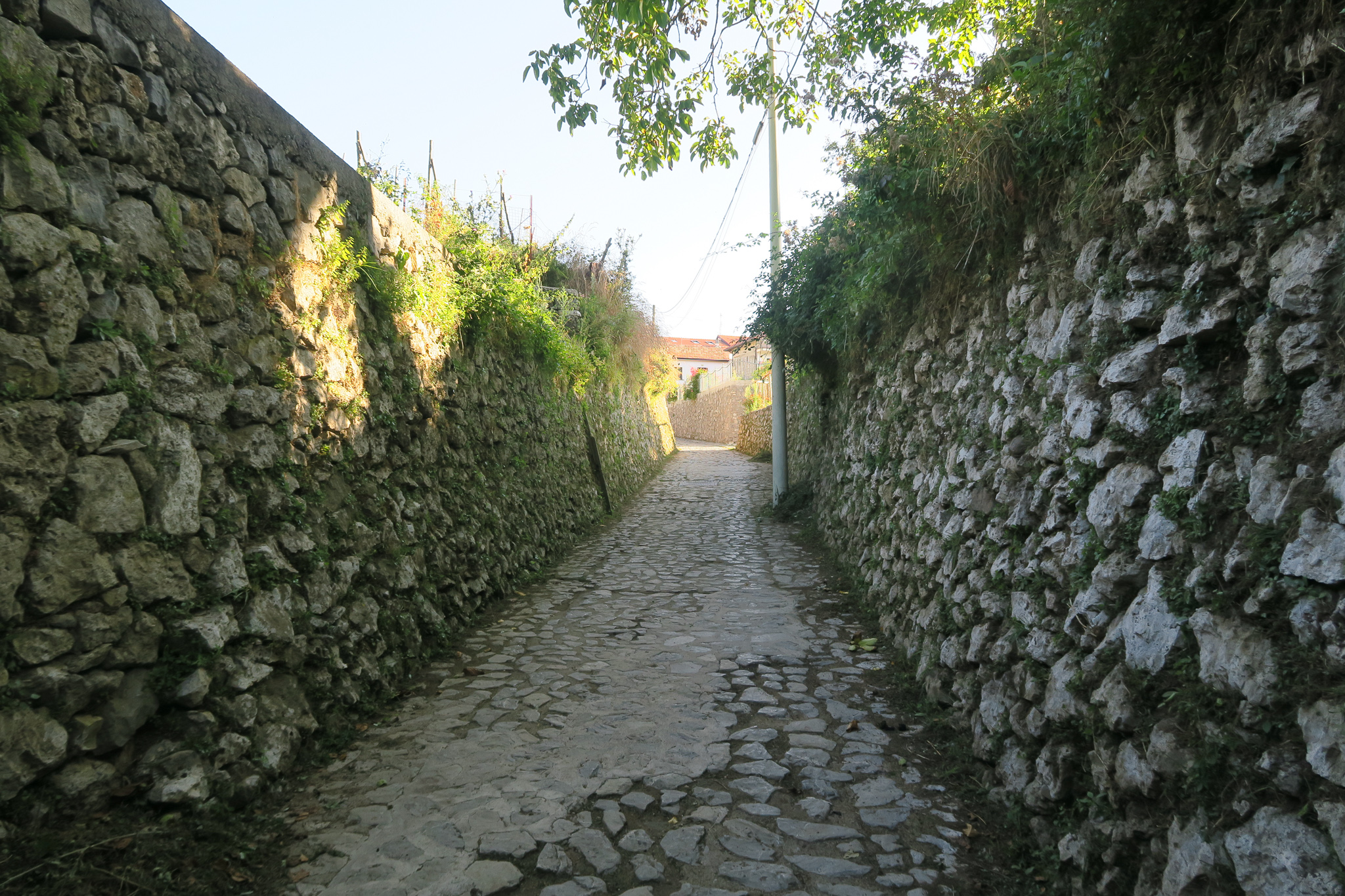 石垣の小道