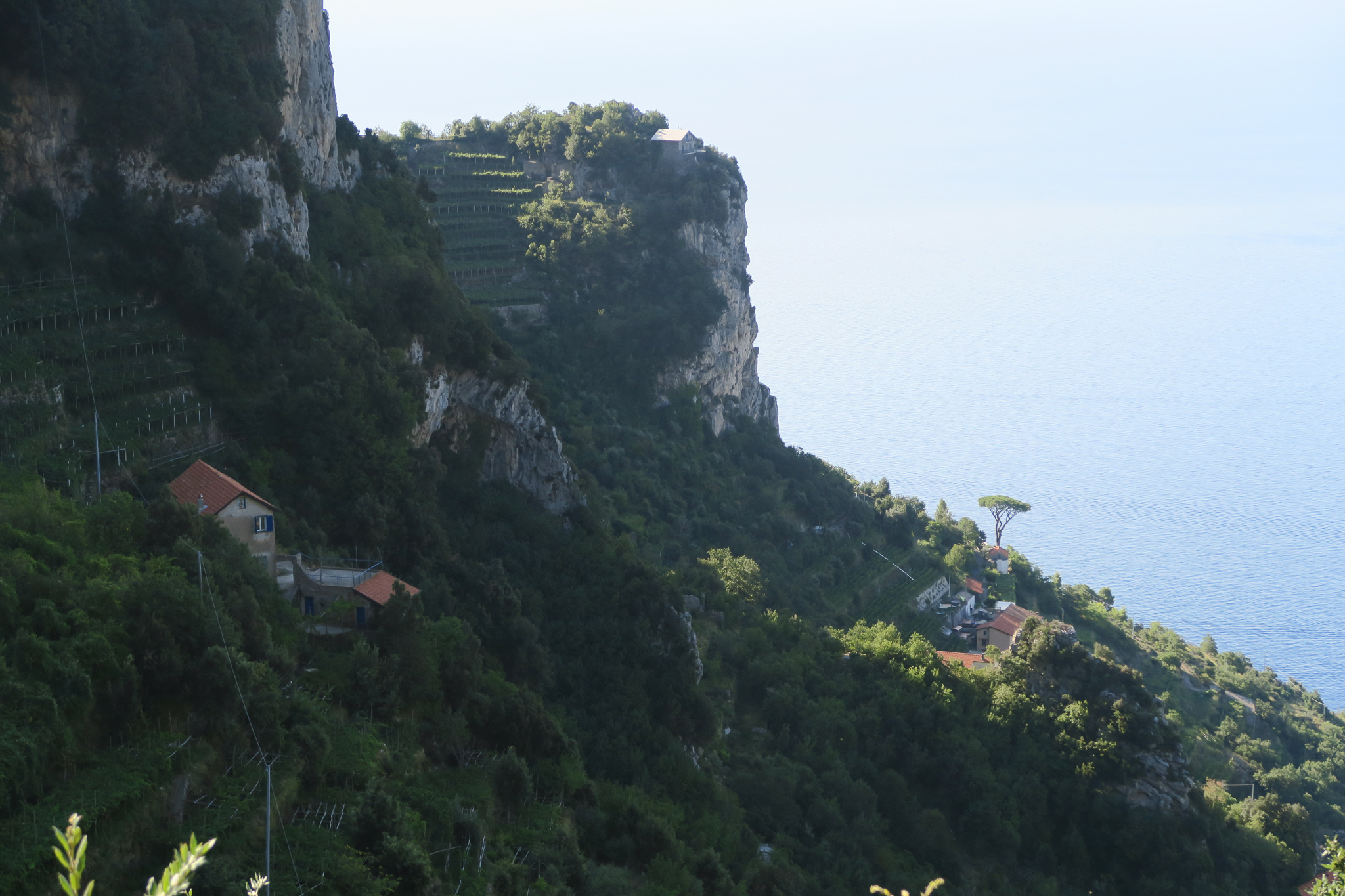 急斜面の民家と葡萄畑、地中海の雄大な眺望